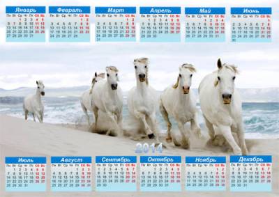 скачать Настенный календарь - Белые лошади на прогулке
