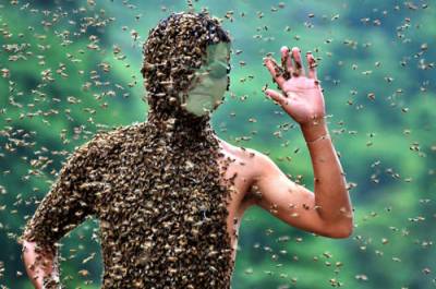 Скачать Шаблон мужской - В окружении пчел бесплатно