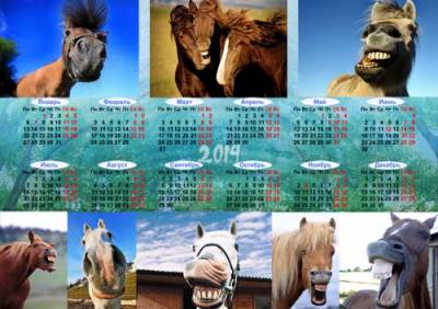 Скачать Календарь 2014 - Смешные лошади бесплатно
